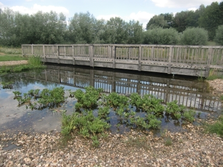 Rees : Bergswick, Wahrsmannshof, Außenanlage